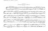 Schubert - Allegretto in C Minor - D915