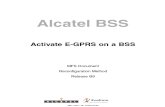 Activate E-GPRS on a BSS B9