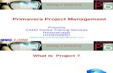 20173674 Primavera Project 201 Management302