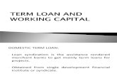 Ch 4 Term Loans New