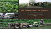 Working with your Horse: From The New Horse-Powered Farm