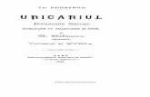 Th. Codrescu - Uricarul, Vol 18 (1428-1633) ( INDEX)