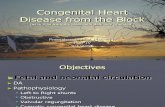Congenital Heart Disease From the Block