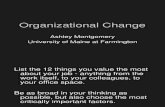 Org Change SAC2007