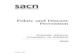Folate and Disease Prevention Report