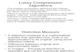 Lossy Compression Algorithms