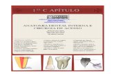 Anatomia Interna Dental Rielson