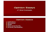 Opinion Essays1[1]