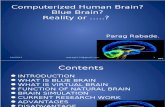 Mapping of Human Brain