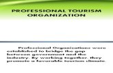 Professional Tourism Organization1 Final