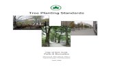 tree plantation guide