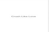 Crush Like Love - A Preview