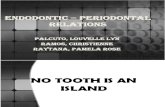 Endodontic – Periodontal Relations