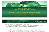Topic 5 Agriculture