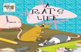 A Rat's Life