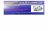 conference applications de la stimulation magnétique transcrânienne (rTMS) en psychiatrie