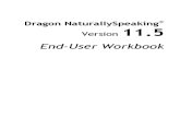 Dragon Workbook