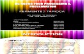 Fermented Tapioca