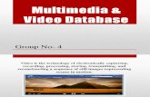 Multimedia & Video Database.pptx