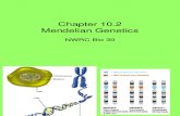 Chapter 10-2.ppt