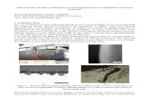 APPLICATION OF EDDY CURRENTS TO THE ESTIMATION OF CORROSION-FATIGUE.pdf