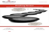 Banking Sector 2012 sector analysis