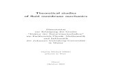 thesis Fluid Membrane.pdf
