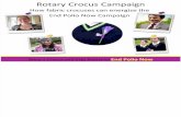 Rotary Crocus Campaign - presentation slides