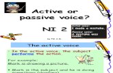 Passive Voice NI2