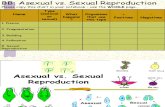 Asexual vs Sexual Repoduction