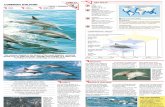 Wildlife Fact File - Mammals - Pgs. 61-70
