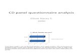 CD Questionnaire Analysis