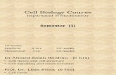 Cell Biology 2013 Course (2)