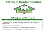 termsin dental