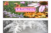 12 Month Calendar "Flora"