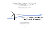 St. Lawrence Wind Deis Invasive Plant Species