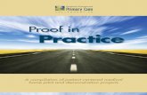 Proof in Practice: A Guide to Medical Home Pilot and Demonstration Projects