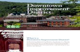 Montpelier Alive Downtown Improvement District