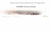GSM Overview Spanish