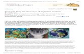 Ecologists Study the Interactions of Organisms and Their Environment _ Learn Science at Scitable