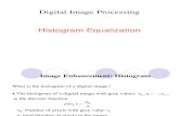 Histogram Equalization Techniques