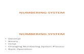 1.0 Numbering System - Lecturer