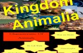 Kingdom Animalia_Invertebrates F09