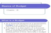 Basics of Budget
