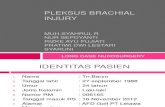 Fix Pleksus Brachial Injury
