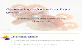 2010-Chapter 16 - Transcription and Translation-students