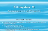 Chapter 3 - Assessment of Posture