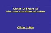 2. City Life and Rise of Labor (Website)