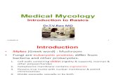 Medical Mycology Basics