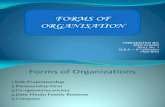 02 Forms of Organization